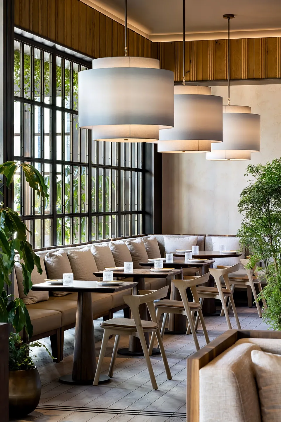 Modern restaurant interior featuring wood and plants