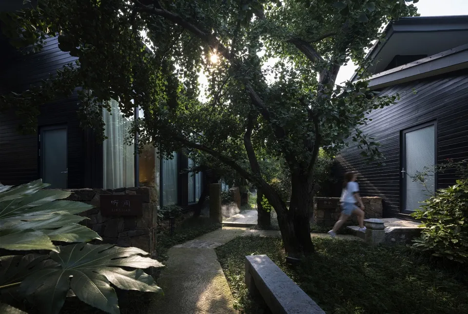 Concrete pathway surrounded by greenery with residential buildings on either side.