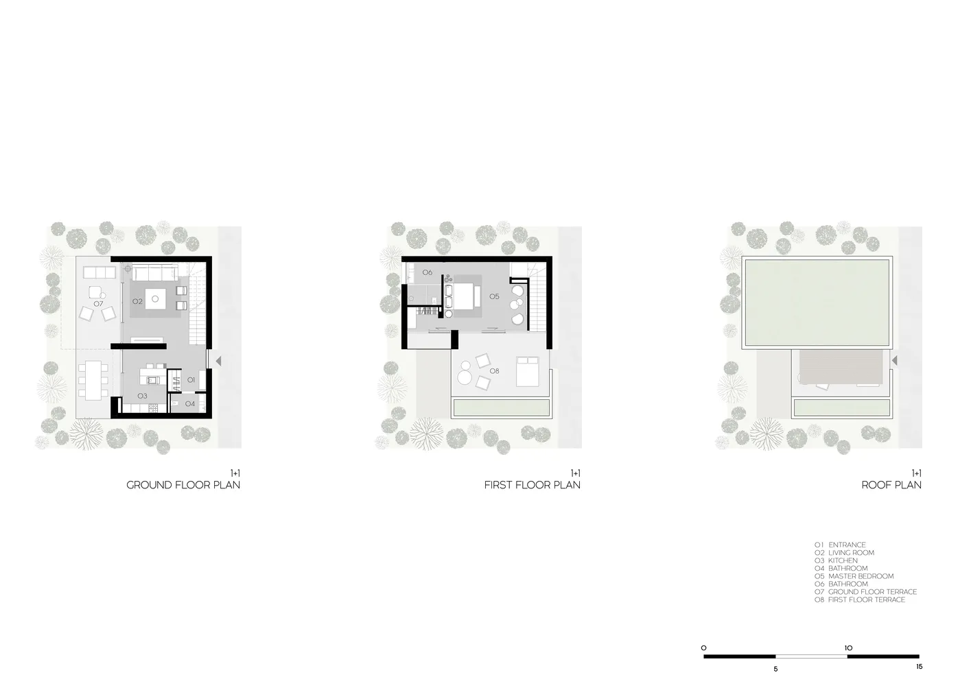 Detailed architectural drawings showing the ground floor, first floor, and roof of a residential building.