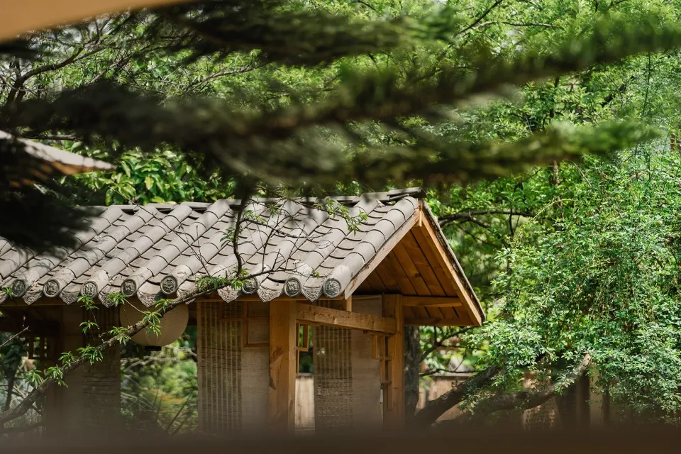 Traditional wooden house with tiled roof surrounded by lush greenery.