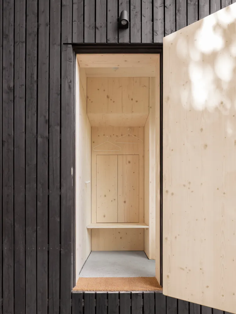 Modern minimalist entryway with wooden walls, concrete floor, and natural light.
