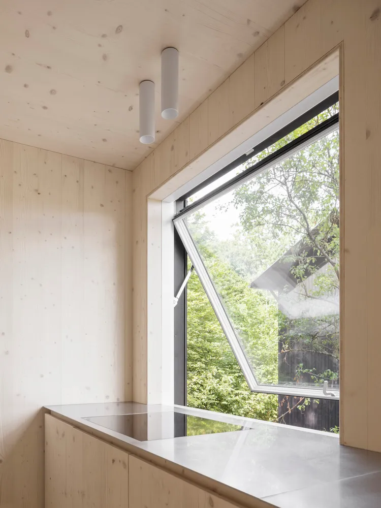 Modern minimalist kitchen with wooden walls and a large window overlooking a wooded area.