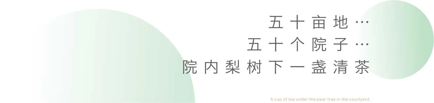 寧靜的極簡風景,綠葉置於白色背景上。