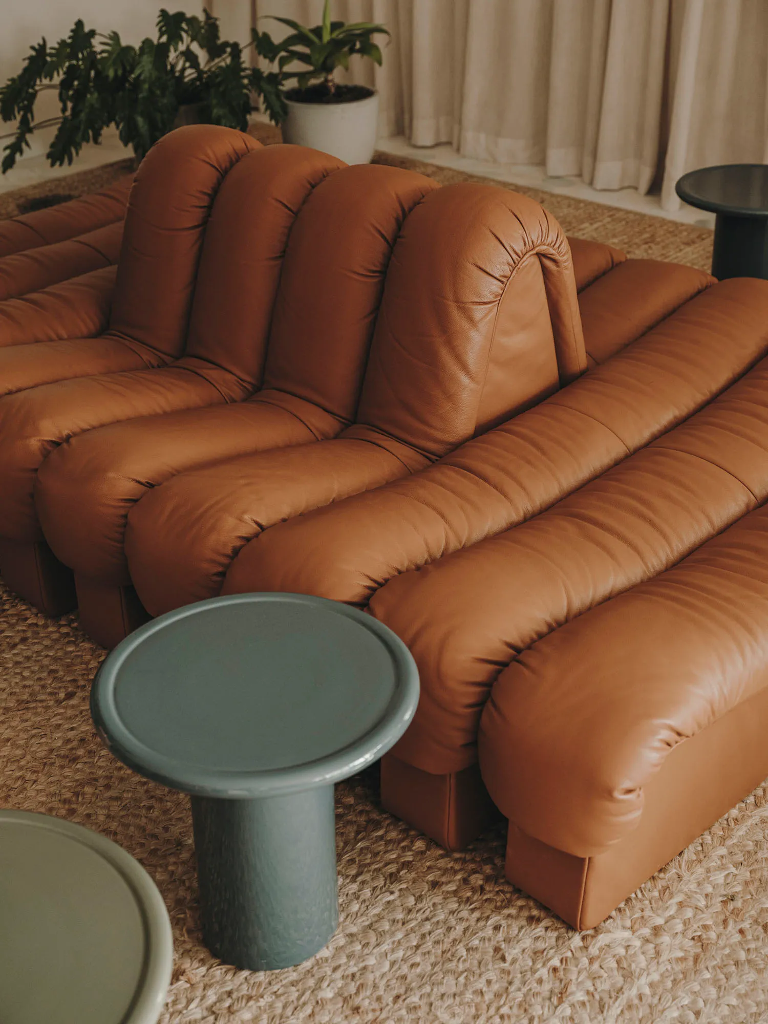 Modern leather sofas in a cozy living room with green plants and a textured rug.