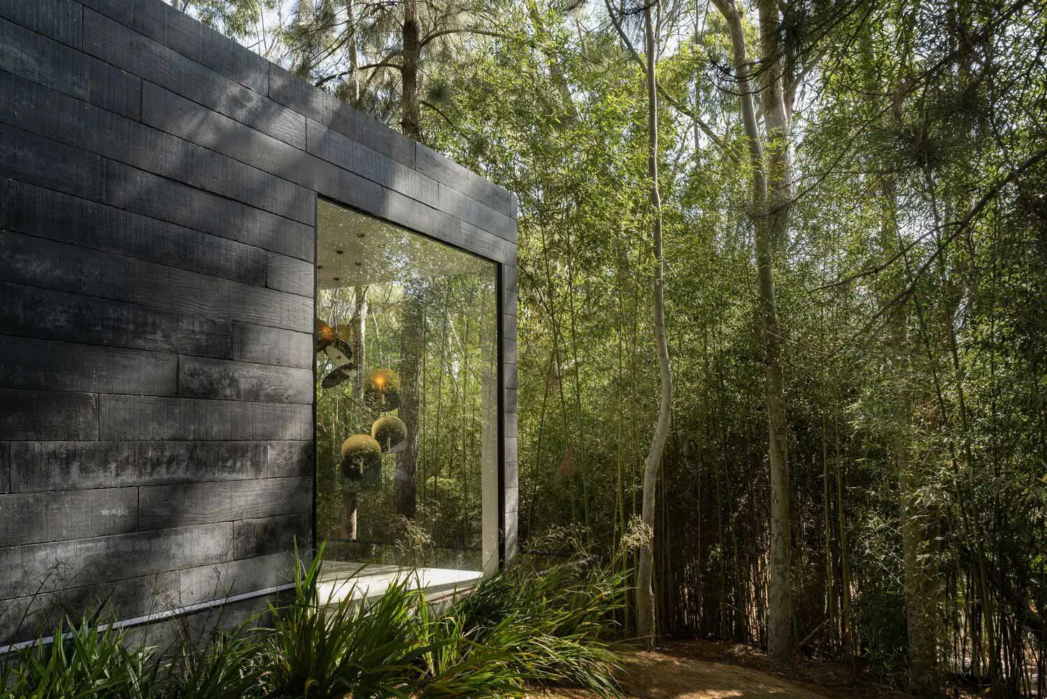 A modern house with glass and wooden exterior surrounded by lush greenery.