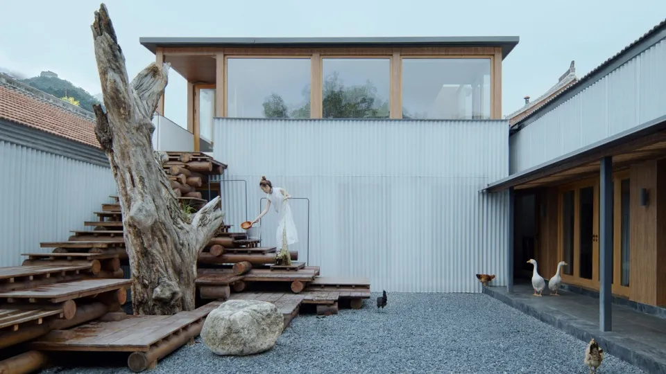 A minimalist metal-clad exterior with wooden steps and a stone path.