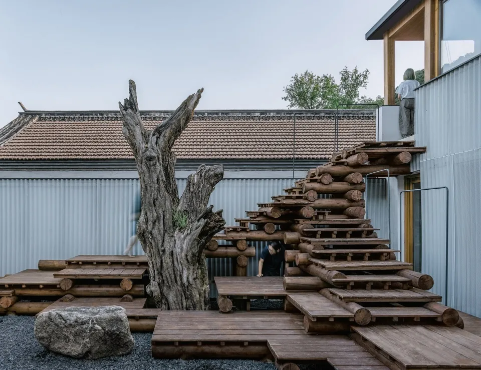 A natural wooden staircase with a large, textured tree trunk in the center, surrounded by rocks, and leading up to a modern b