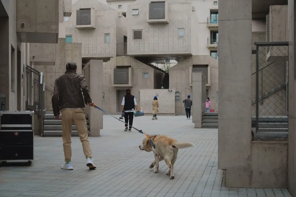 現代公共空間以混凝土建築為特色，人們散步並牽著狗。