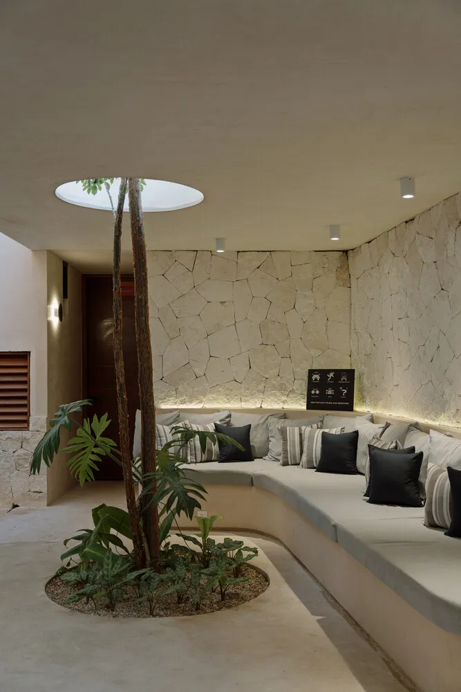 A modern living room featuring a circular arrangement of seating with cushions, a central tree with green foliage, and decora