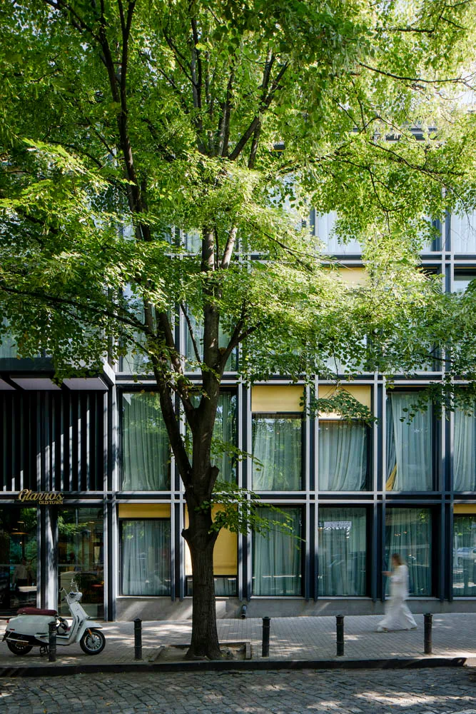 Modern commercial space with large glass windows and green trees in the foreground.