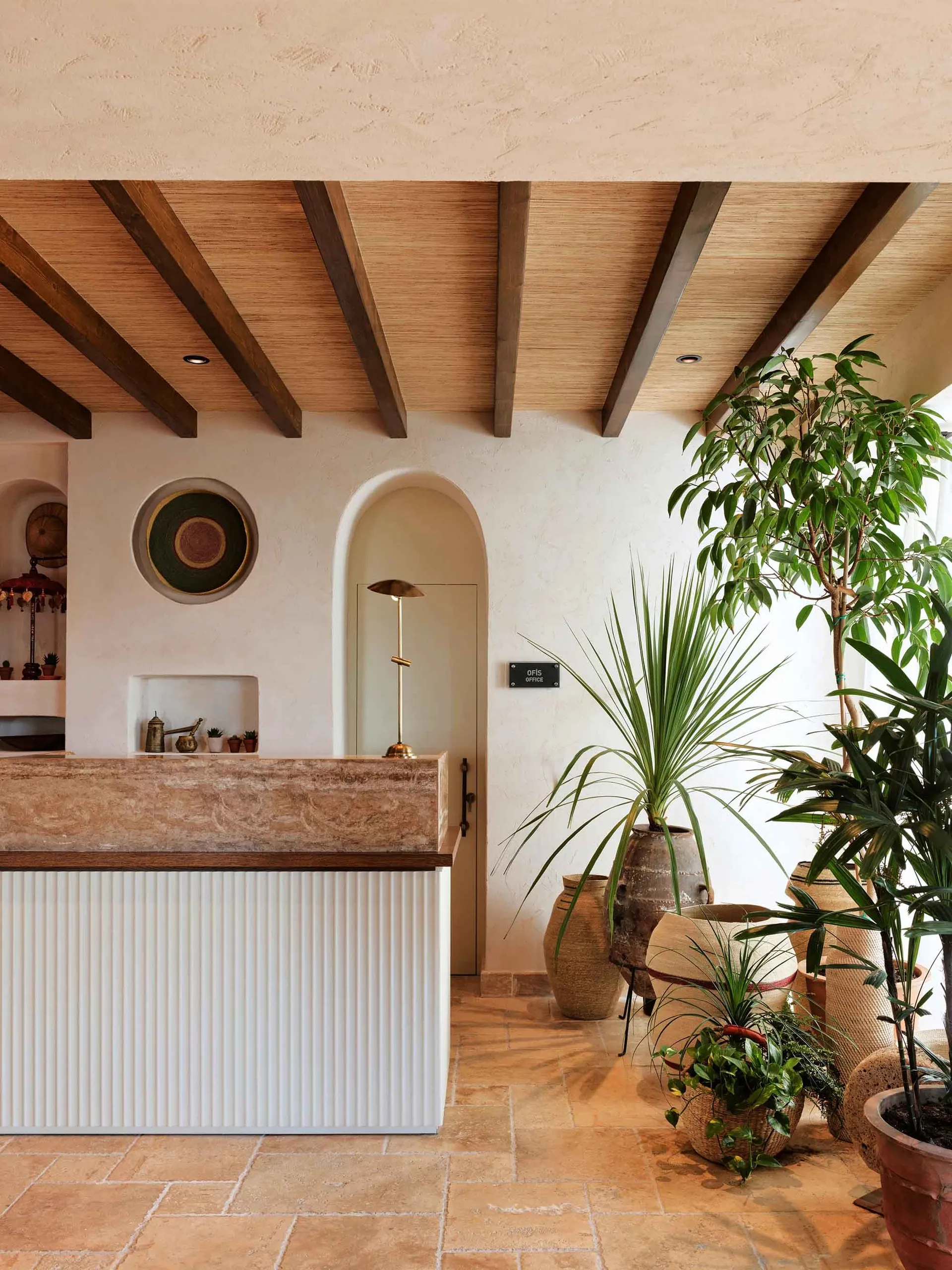 A minimalist office reception featuring concrete materials and lush green plants.