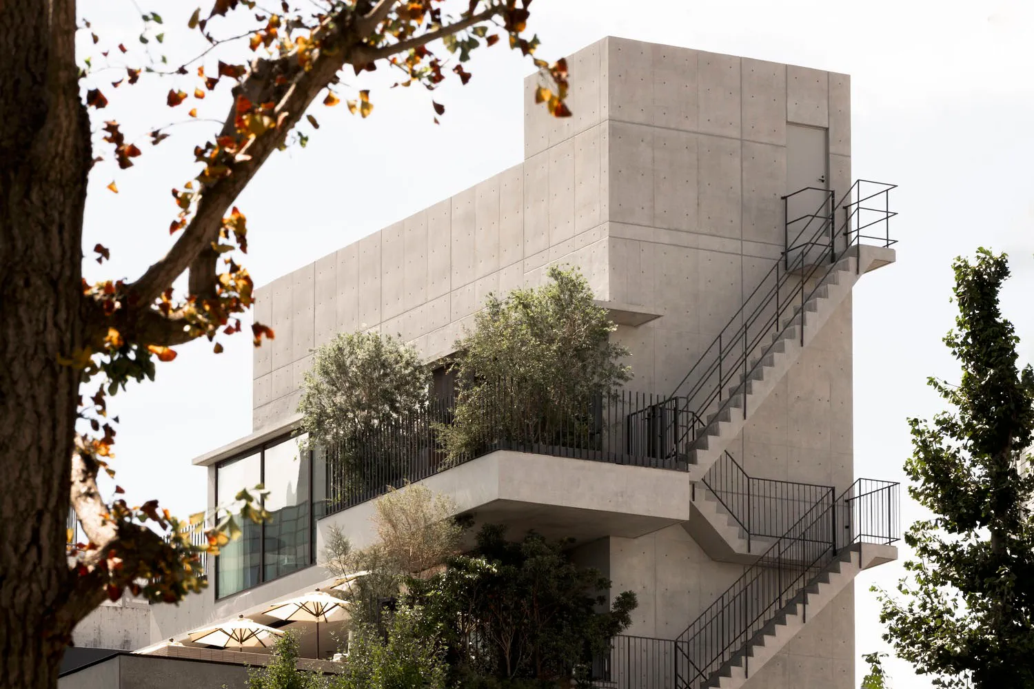 Modern building exterior made of concrete with trees and stairs.