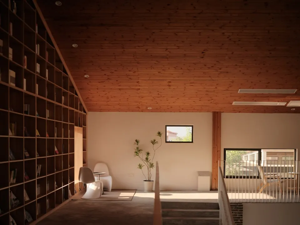 A minimalist living room with wood elements and a potted plant.