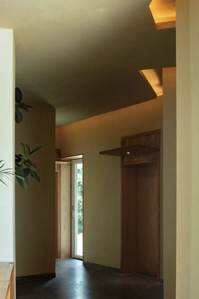A minimalist corridor features wooden elements, with a plant and a lit cabinet.