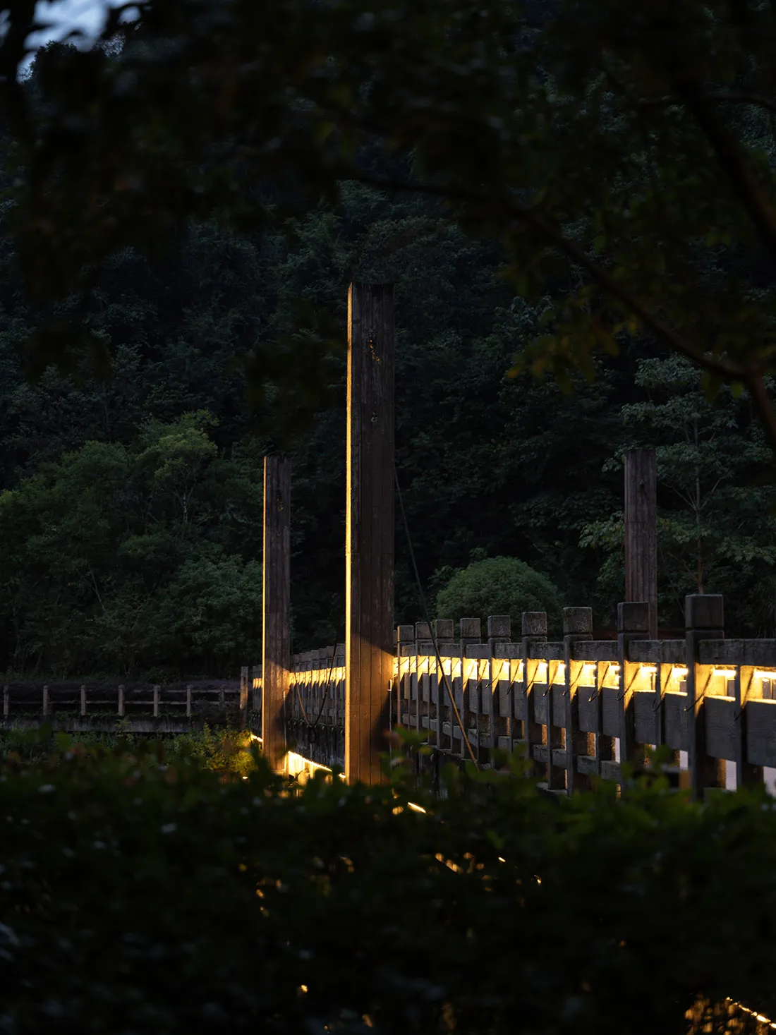 夜間木橋被燈光照亮，背景有樹木。