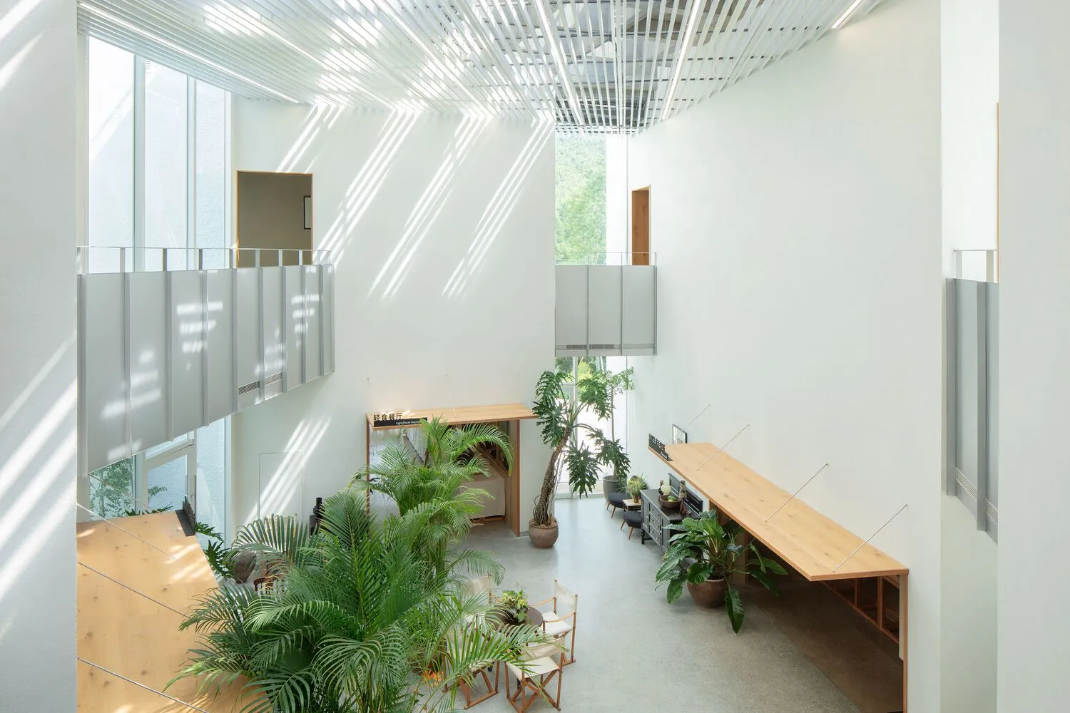 A minimalist restaurant lobby featuring wooden furniture and glass partitions, with a high ceiling and ample natural light.