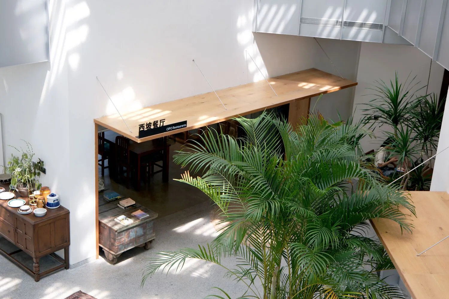 現代餐廳室內擺放木桌與綠色植物。