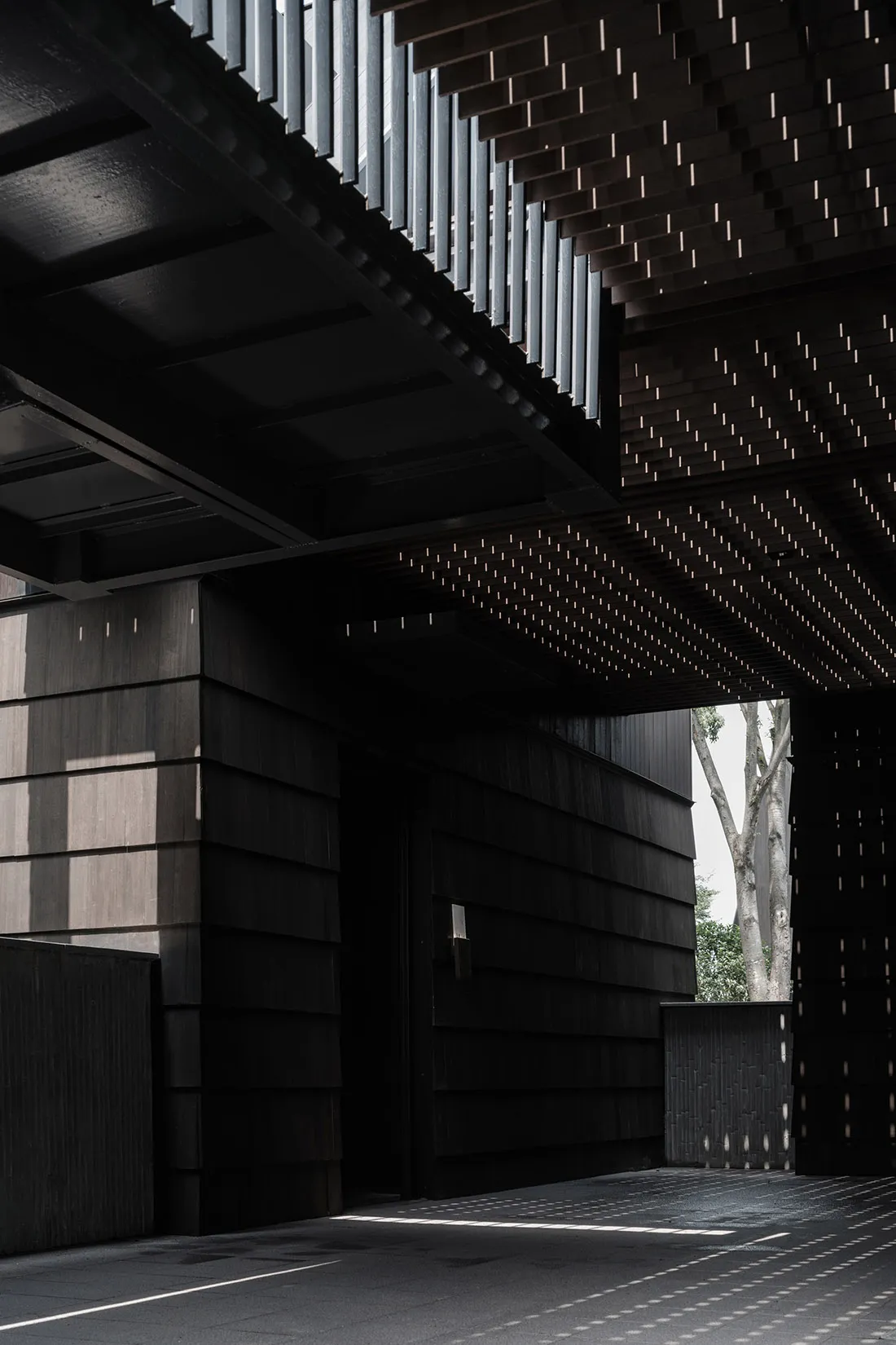 Modern architectural design featuring black wood material