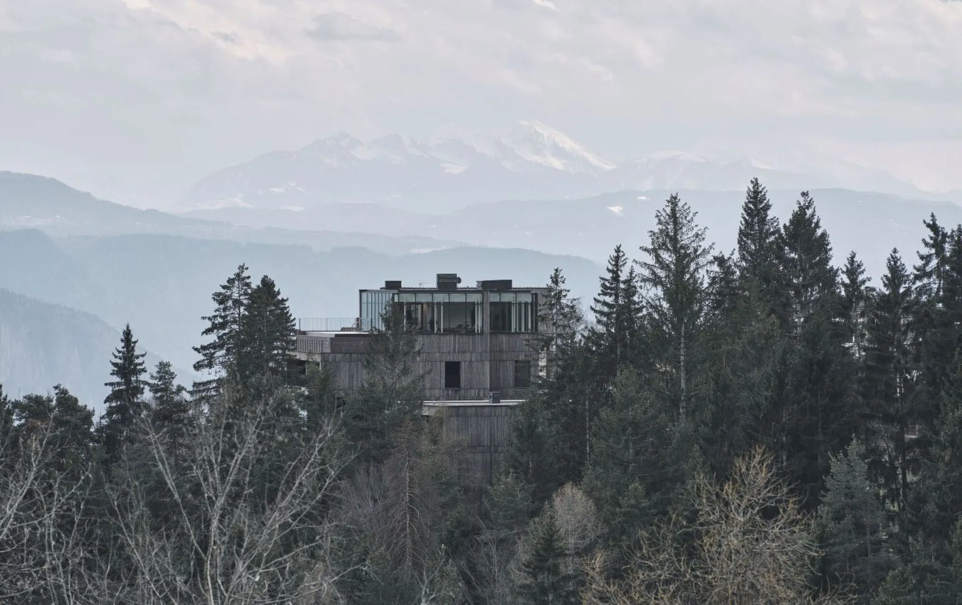 現代建築被樹木環繞，坐落於森林區域。