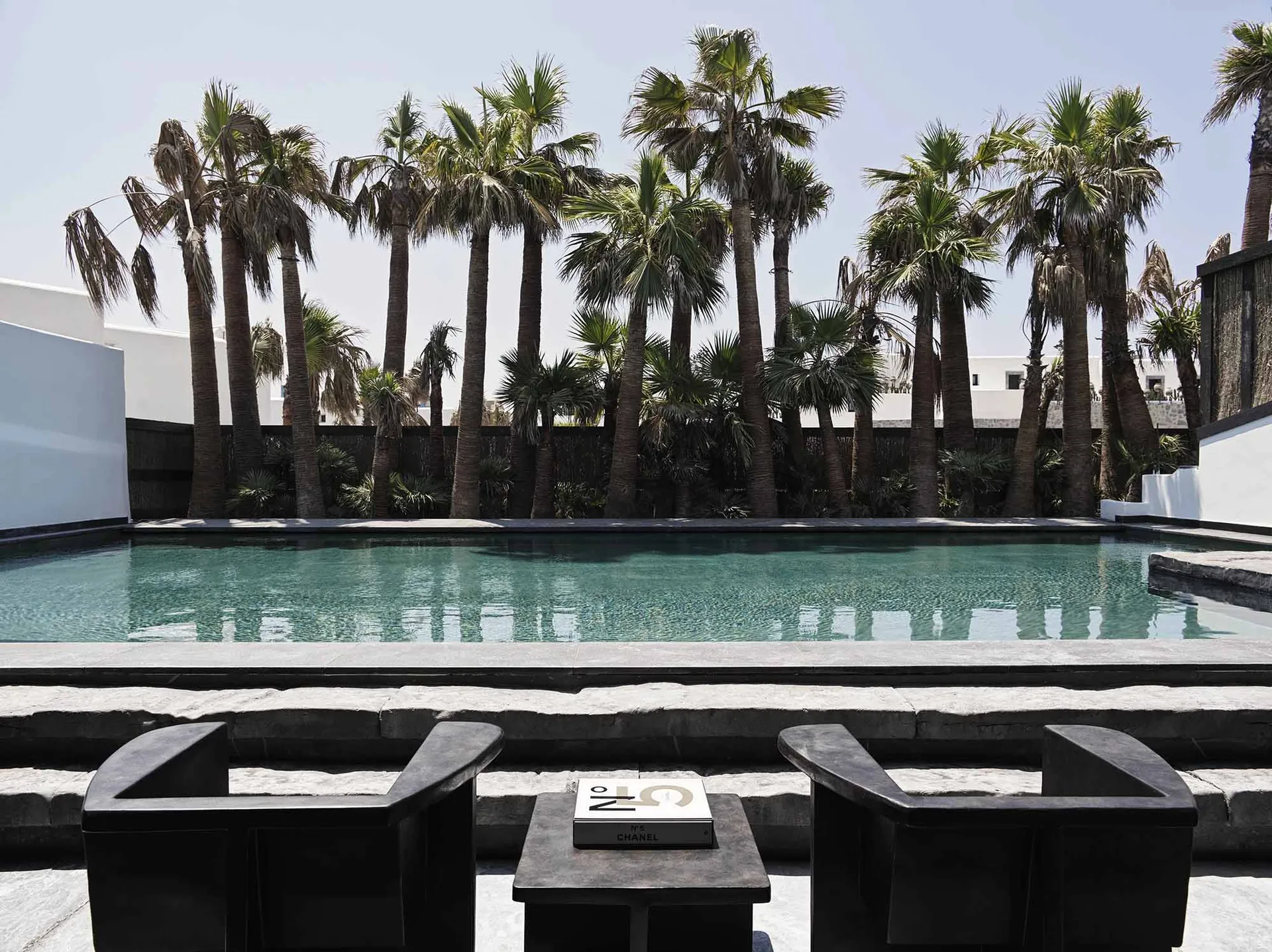 A minimalist patio featuring a concrete pool with glass elements and surrounded by palm trees.