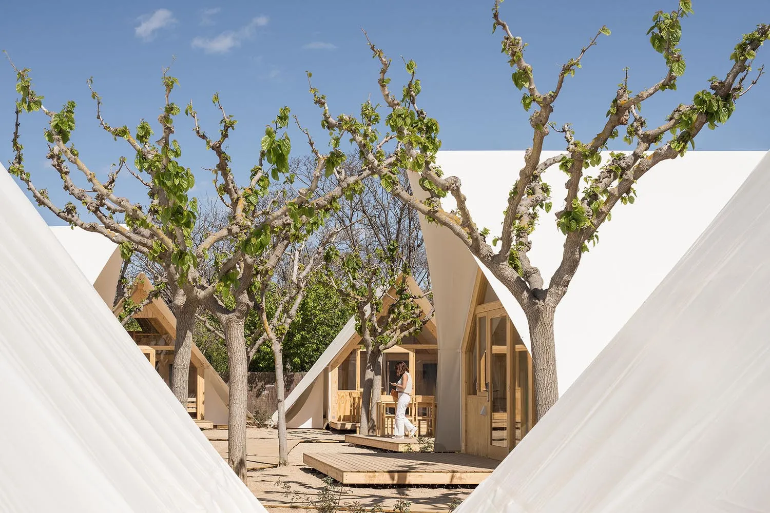A minimalist residential space featuring white fabric structures and green foliage.