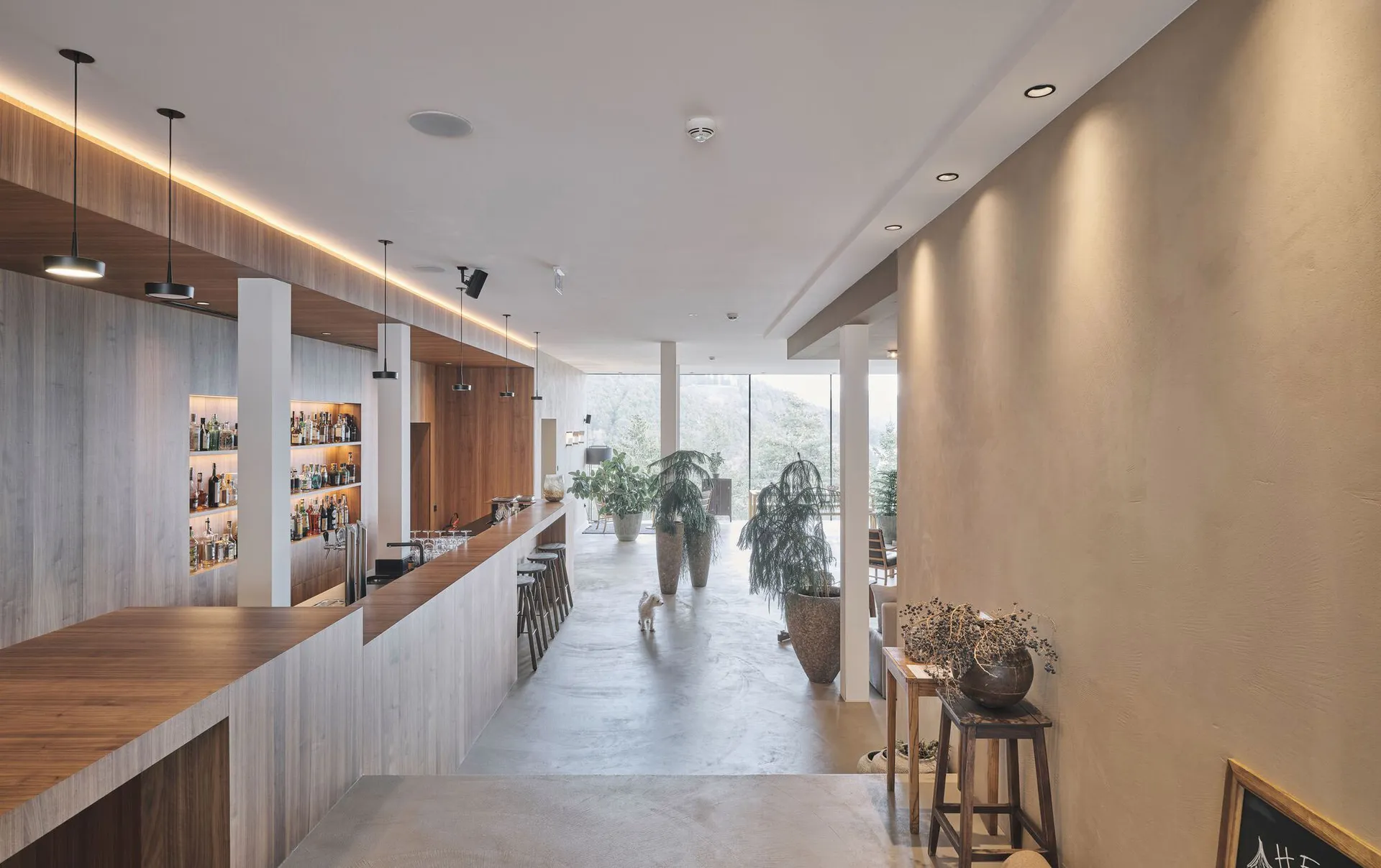 A modern commercial space featuring concrete, wood, and glass materials.