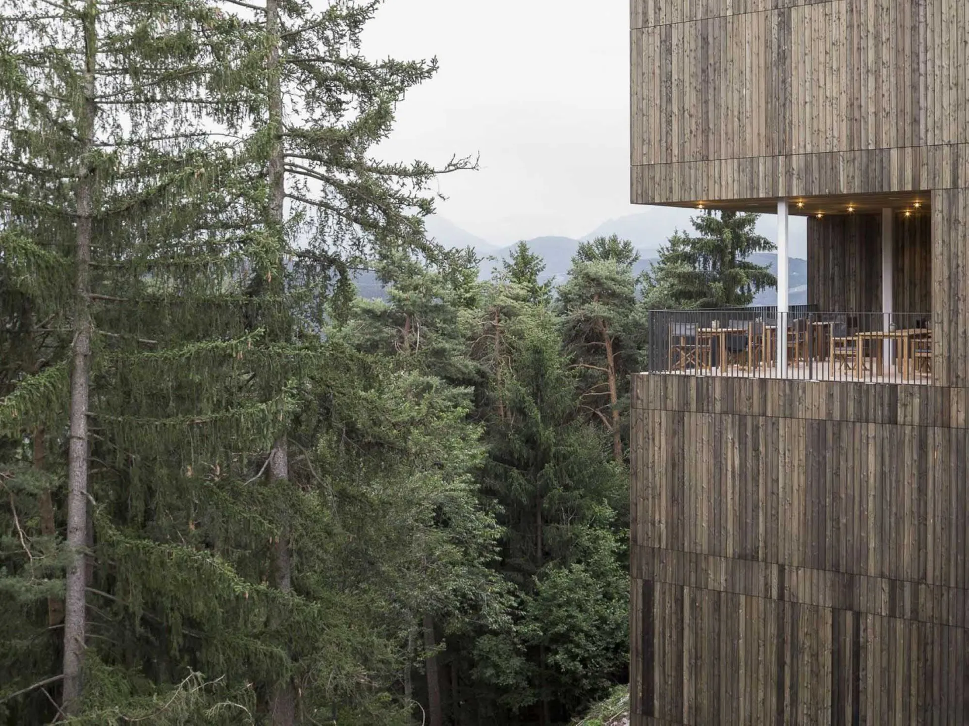 Modern hotel room designed with wooden paneling and surrounded by trees and mountains.