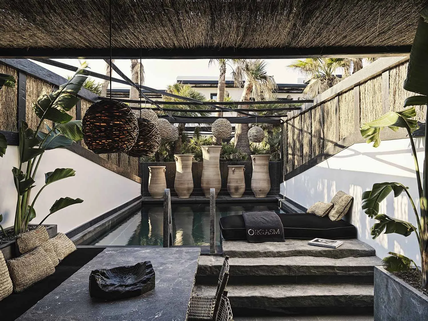 Modern pool area with concrete surfaces, ornamental pots, and tropical plants.