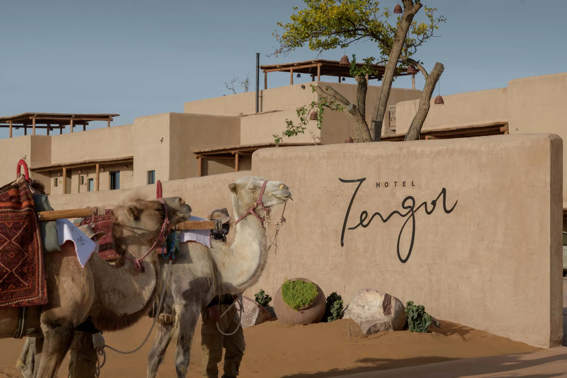 Camel at the entrance of a hotel with sandstone walls and architectural design.