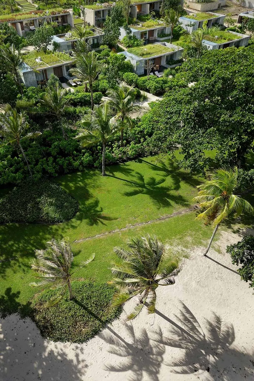 Aerial view of a resort with green roofs, palm trees, and sandy beach.