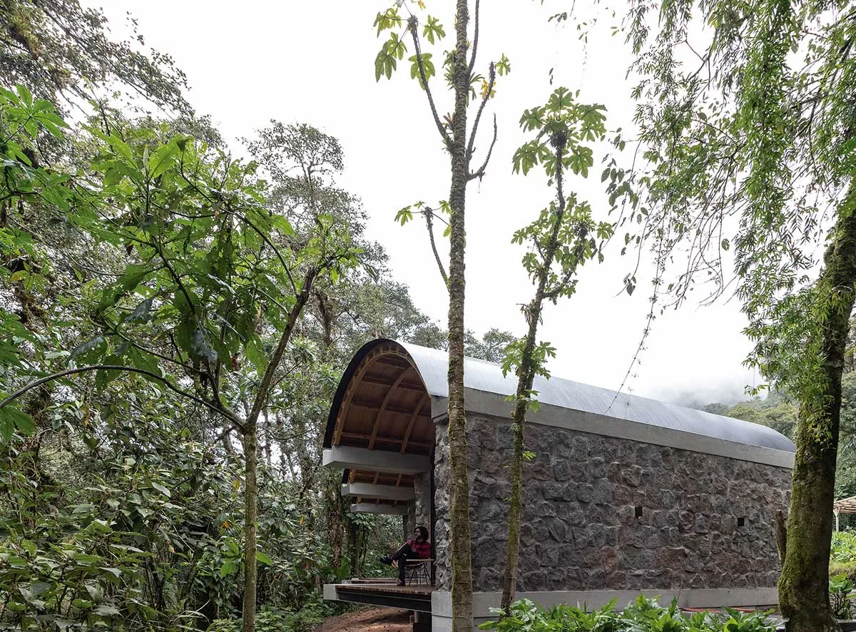 A modern residential interior with stone walls and a concrete ceiling, surrounded by lush greenery in a forest setting.
