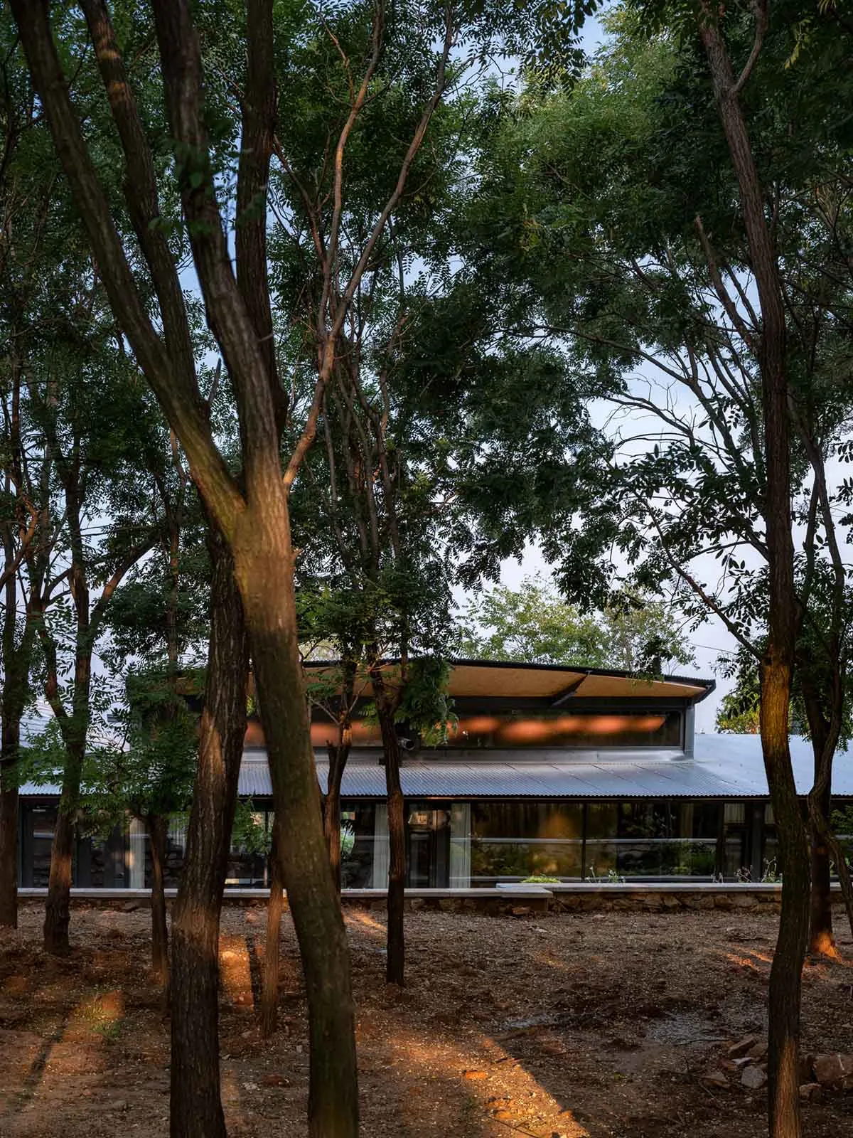 一座現代住宅增建,搭配金屬屋頂與大型玻璃窗,四周環繞樹木。