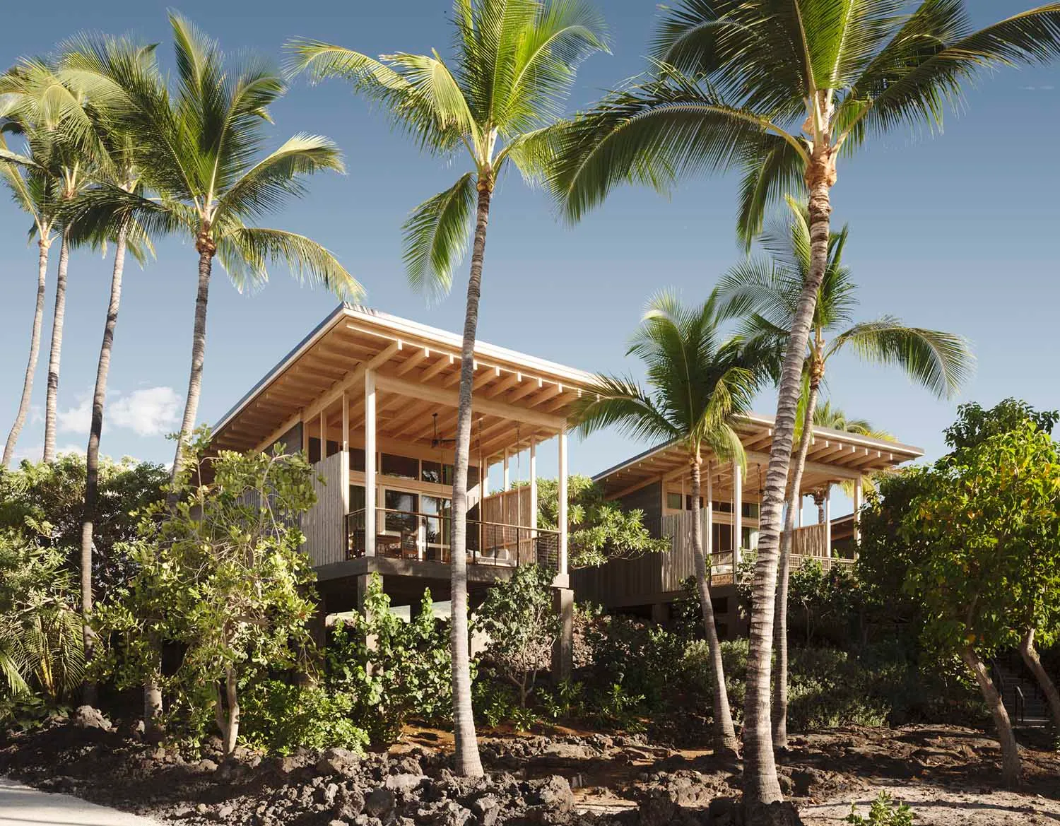 A modern residential house with a wooden frame and surrounded by tropical plants.
