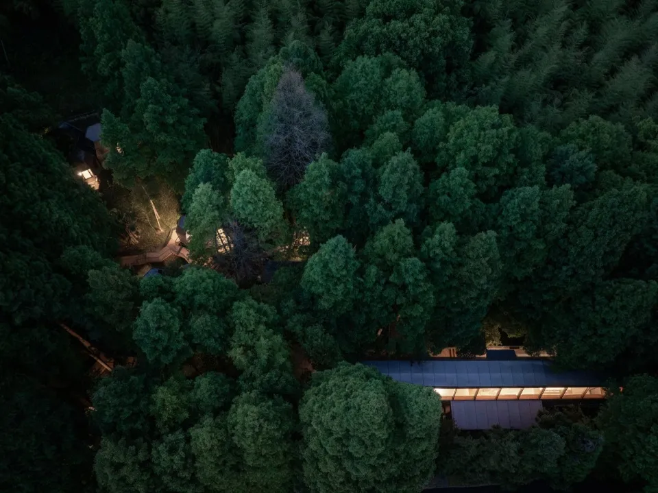 俯瞰現代住宅樹屋隱身於茂密森林之中，展現永續生活與建築