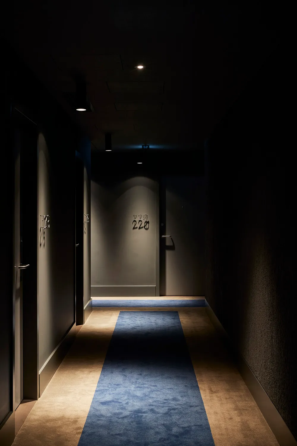 A minimalist corridor featuring a carpet and wall panels.
