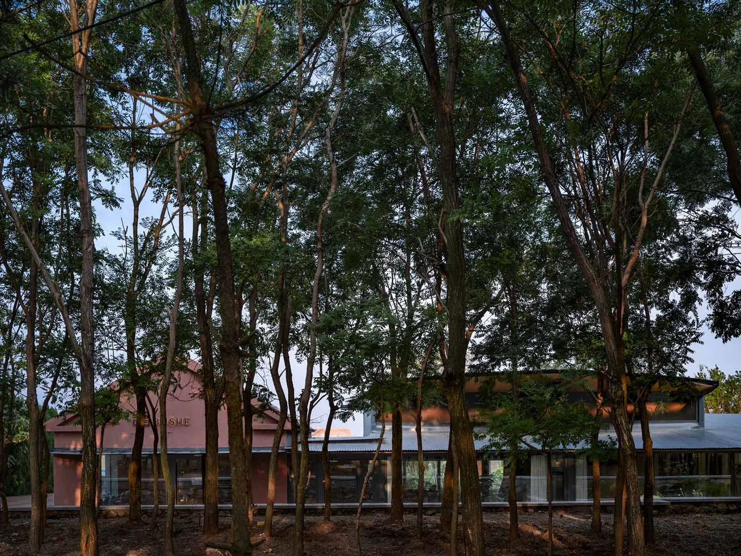A modern house surrounded by trees with a wooden exterior.