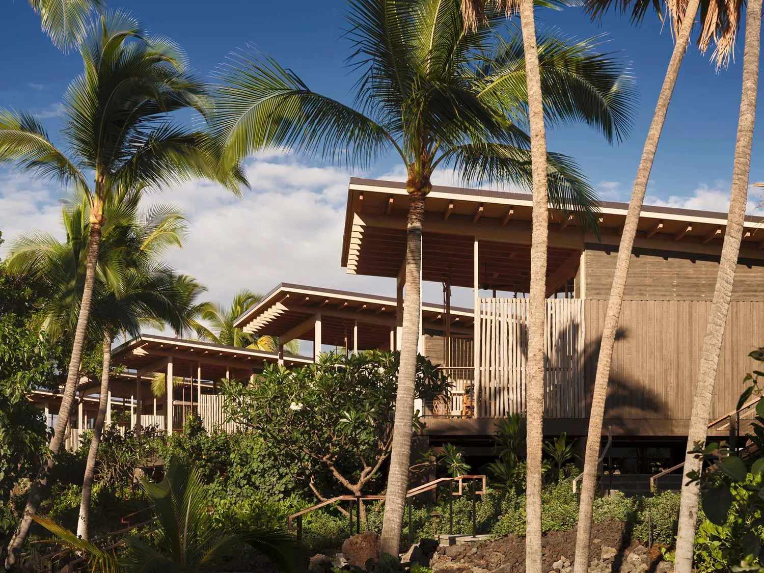 A modern residential house with wooden exterior surrounded by tropical plants and palm trees.