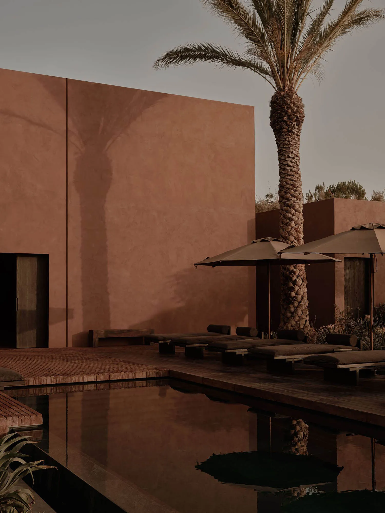 Modern outdoor lounge area with red clay walls and concrete flooring, featuring lounge chairs with umbrellas and a tall palm