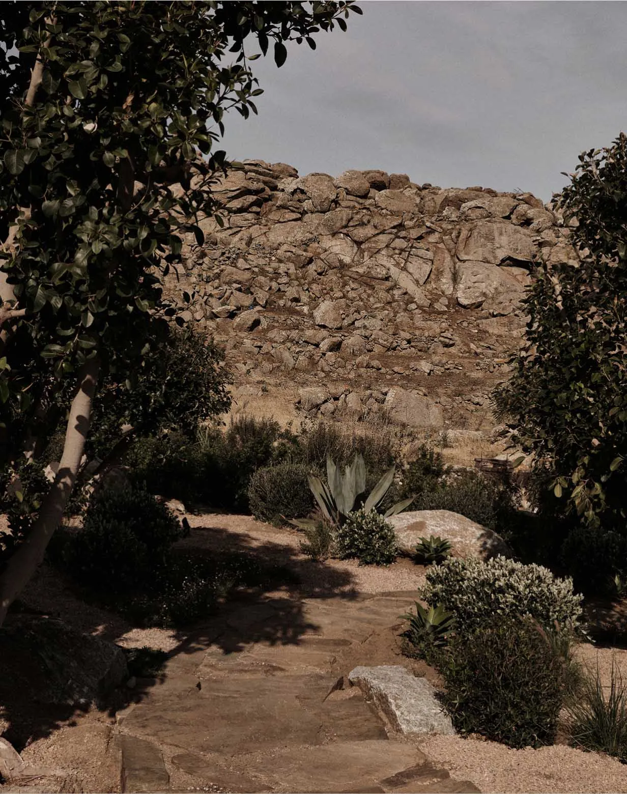 A rocky hillside with scattered plants and a stone path