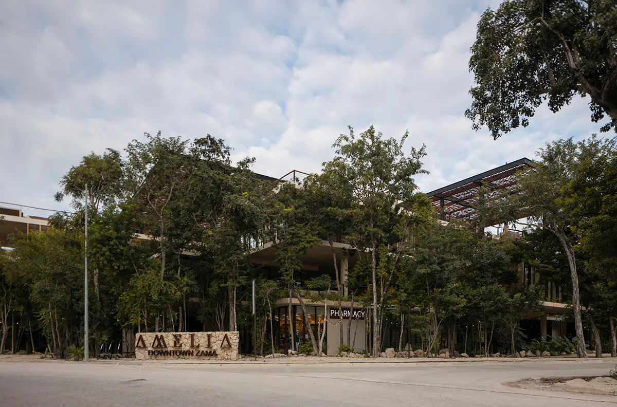 Concrete storefront of Amelia boutique with greenery and signage