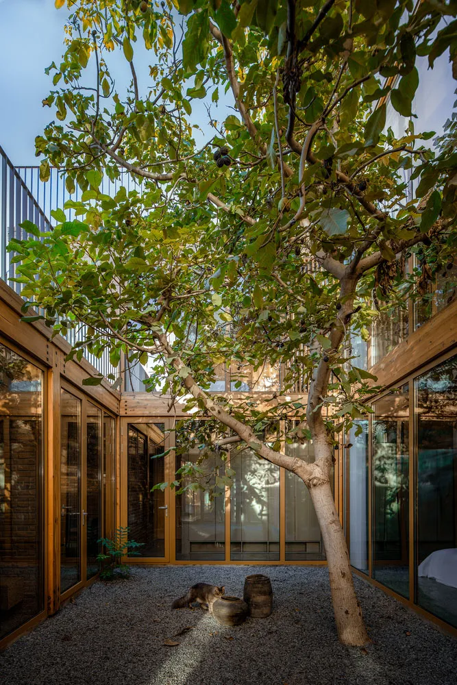 A minimalist residential patio with wood and gravel