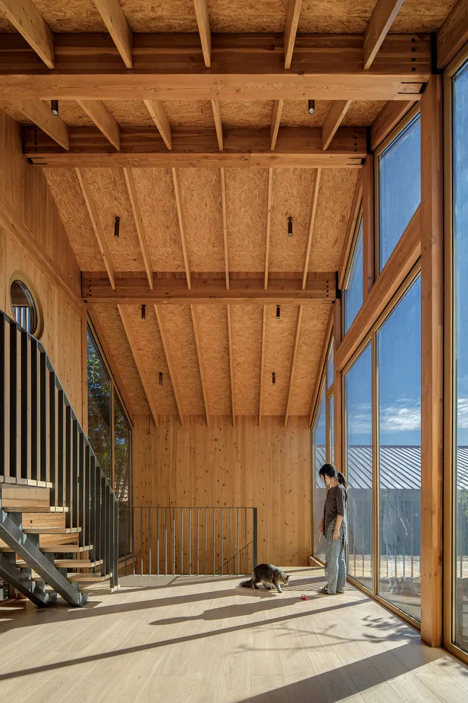 現代住宅室內,木質牆面、樓梯與大面窗。