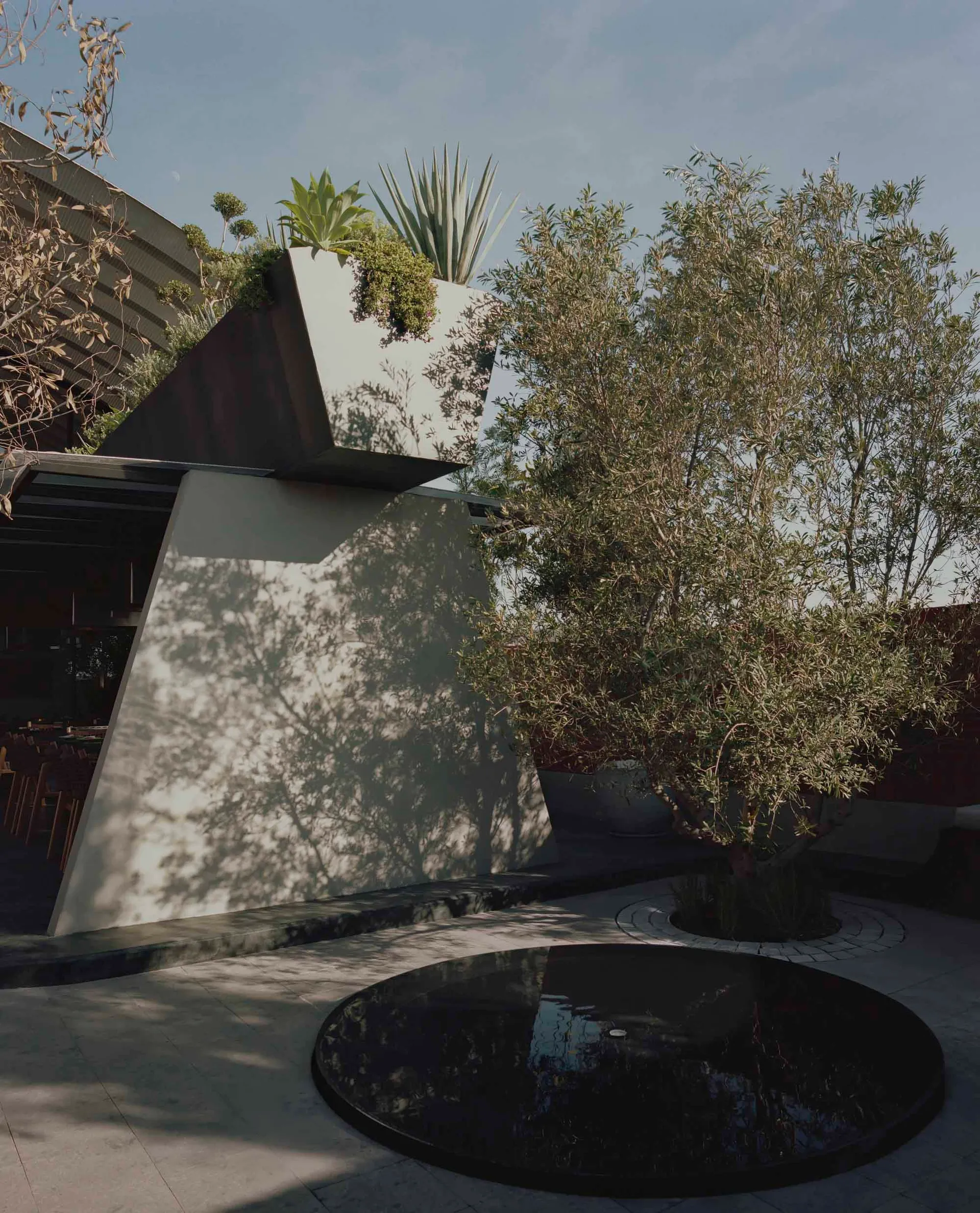 A modern concrete landscape design featuring a circular water feature, greenery, and geometric planters.