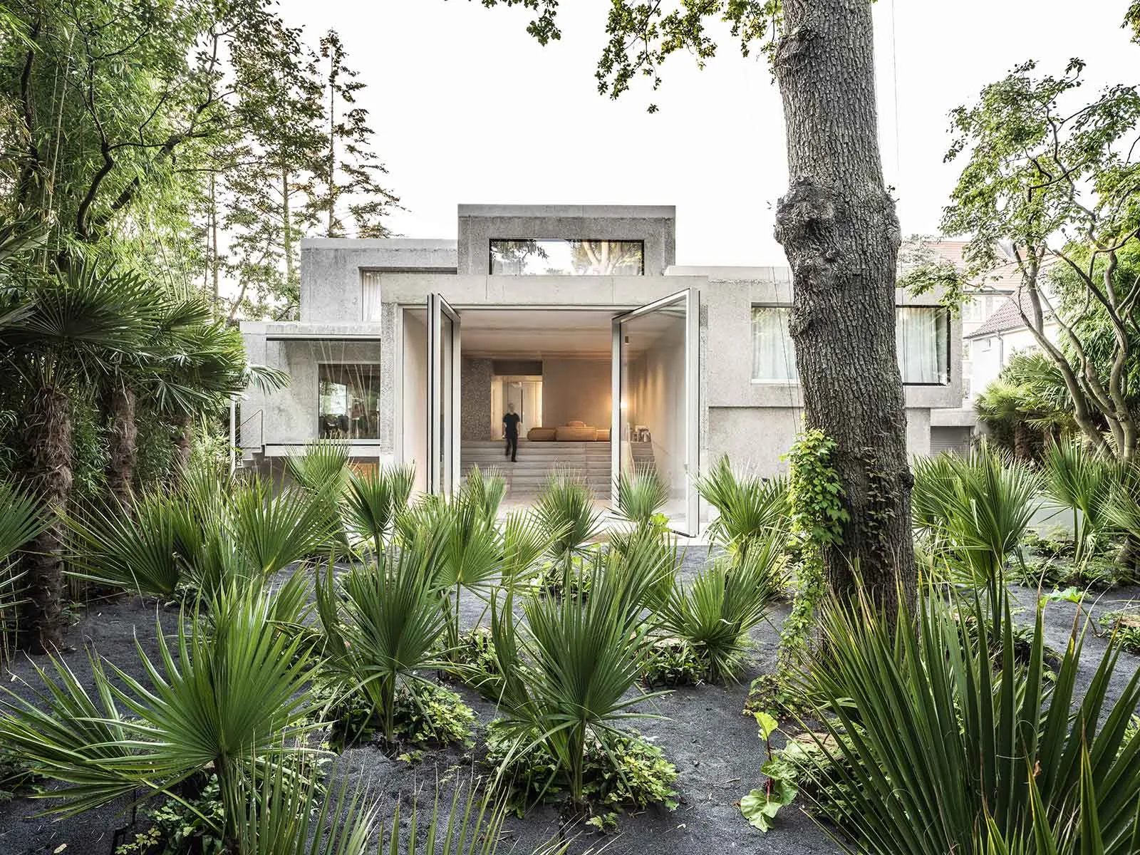 Modern residential building with concrete exterior surrounded by a vibrant garden with various green plants.