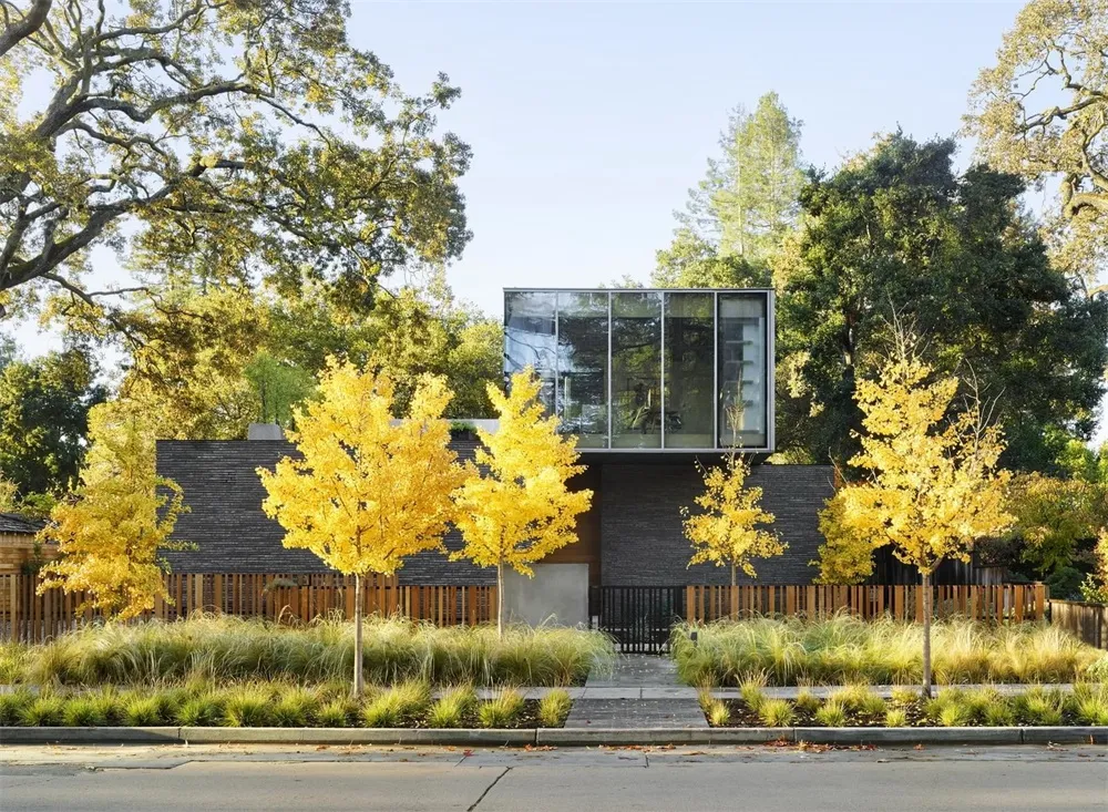 Modern residential exterior with wood, glass, and concrete materials