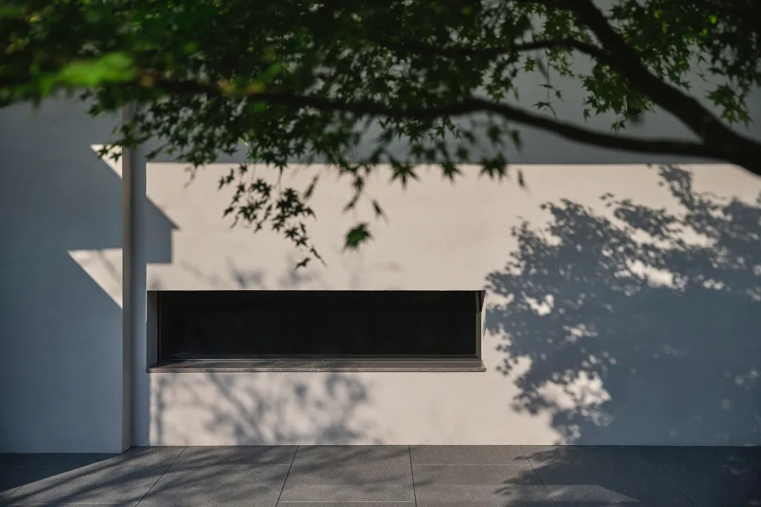 Modern exterior of a building with white walls and concrete materials, framed by tree shadows.