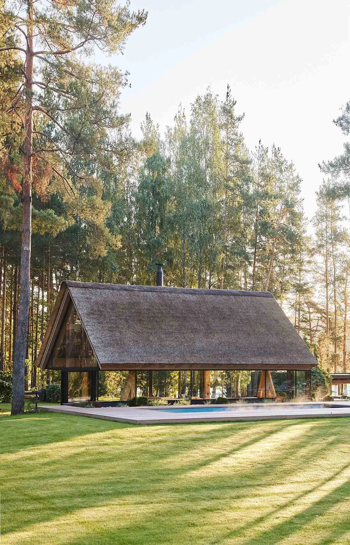 A minimalist residential house with a thatched roof surrounded by trees.