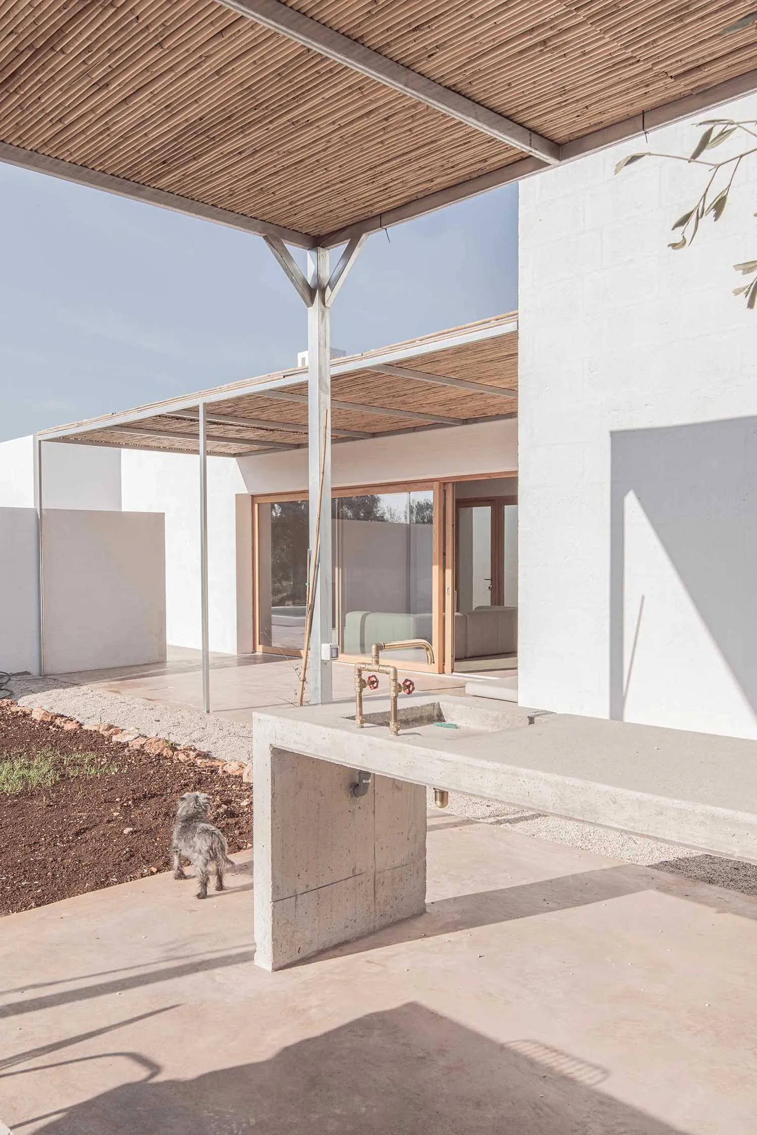 Modern exterior residential architecture featuring minimalist design, concrete, and wood.