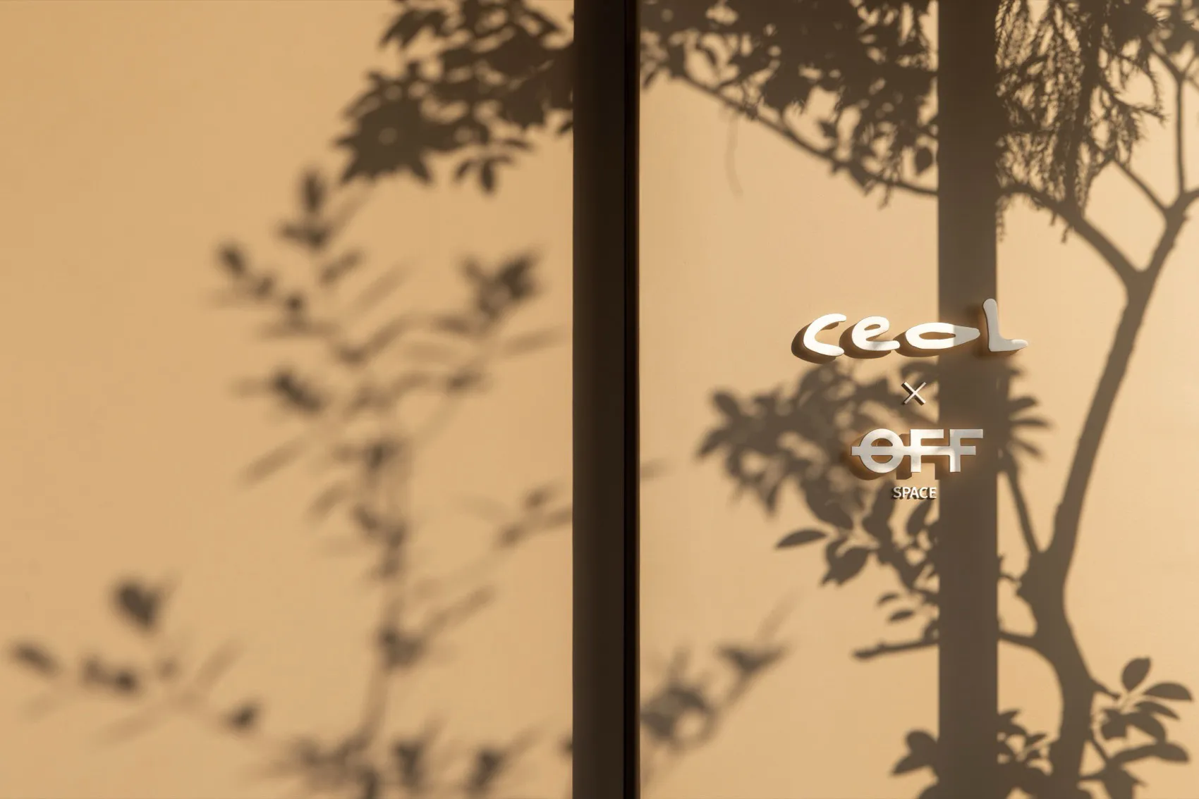 A wall with a shadow of a tree and the text 'Ceol OFF SPACE' in minimalist design style.