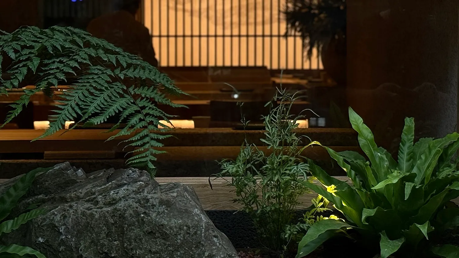 A wooden table surrounded by three potted plants in a calm and inviting indoor space